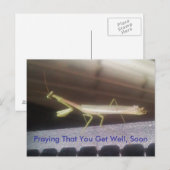 Praying Mantis Briefkaart (Voorkant / Achterkant)