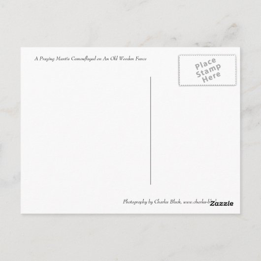 Praying Mantis Briefkaart (Achterkant)