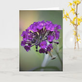 Praying Mantis, card Kaart (Gele Bloem)