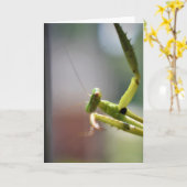 Praying Mantis, card Kaart (Gele Bloem)