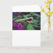 Praying Mantis, card Kaart (Gele Bloem)