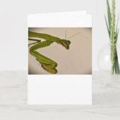 Praying Mantis, card Kaart (Voorkant)