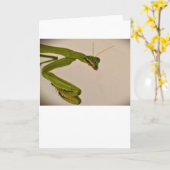 Praying Mantis, card Kaart (Gele Bloem)