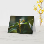 Praying Mantis, card Kaart (Gele Bloem)