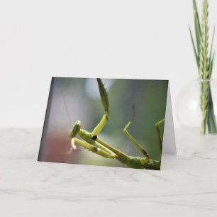 Praying Mantis, card Kaart