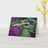 Praying Mantis, card Kaart (Gele Bloem)