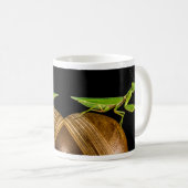 Praying Mantis Close-up Koffiemok (Voorkant rechts)