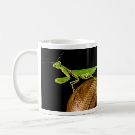 Praying Mantis Close-up Koffiemok (Links)