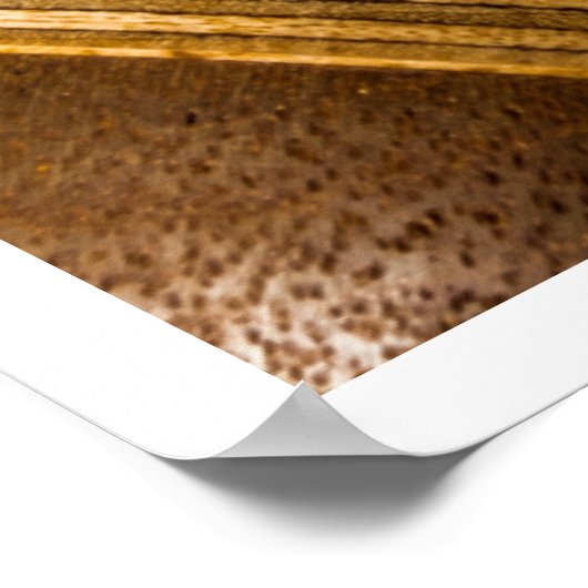 Praying Mantis Close-up Poster (Hoek)