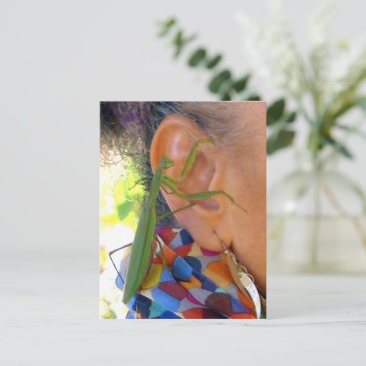 Praying Mantis deelt een geheim - V briefkaart (Staand voorkant)