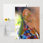 Praying Mantis deelt een geheim - V briefkaart (Voorkant / Achterkant)