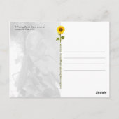 Praying Mantis deelt een geheim - V briefkaart (Achterkant)