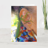 Praying Mantis deelt een geheime kaart (Voorkant)