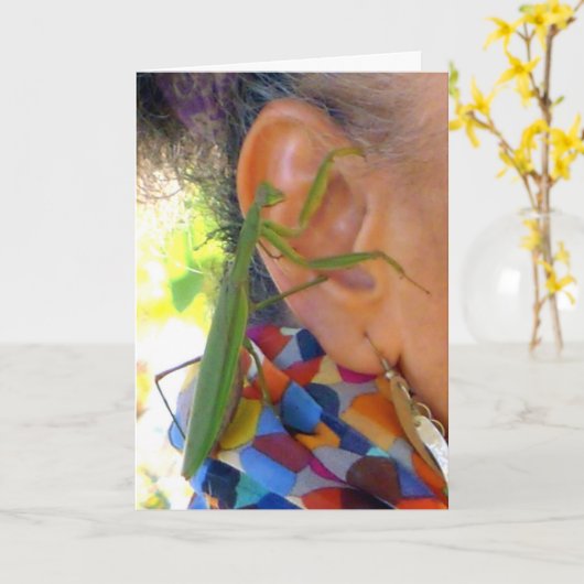 Praying Mantis deelt een geheime kaart (Gele Bloem)