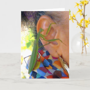 Praying Mantis deelt een geheime kaart