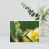 Praying Mantis Eating Prey Briefkaart (Staand voorkant)