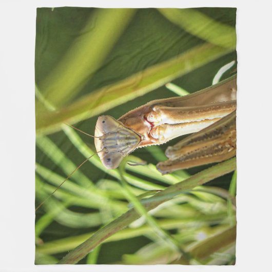 Praying Mantis Fleece Deken (Voorkant)