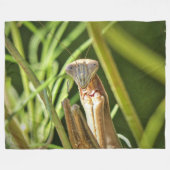 Praying Mantis Fleece Deken (Voorkant (Horizontaal))