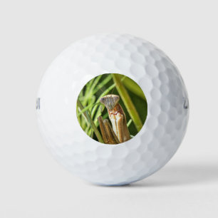 Praying Mantis Golfballen