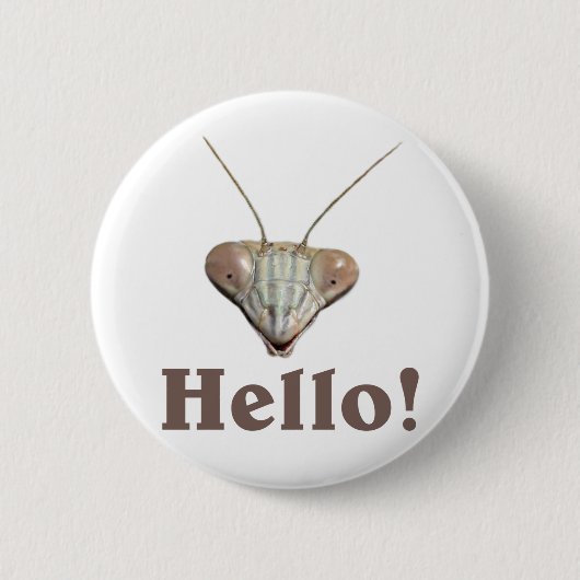 Praying Mantis Hallo Ronde Button 5,7 Cm (Voorkant)