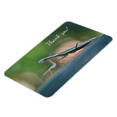 Praying Mantis Hartelijk dank Magneet (Linkerzijde)