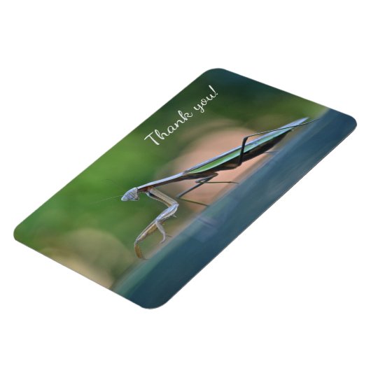 Praying Mantis Hartelijk dank Magneet (Linkerzijde)