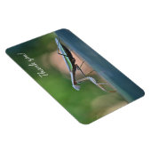 Praying Mantis Hartelijk dank Magneet (Rechterzijde)