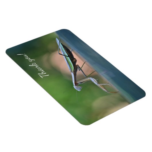 Praying Mantis Hartelijk dank Magneet (Rechterzijde)