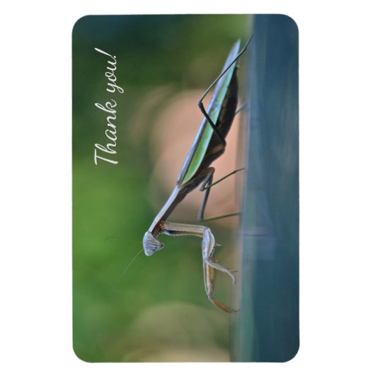 Praying Mantis Hartelijk dank Magneet (Verticaal)