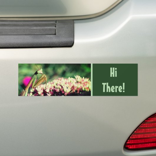 Praying Mantis Hi There Cute Bumpersticker (Op auto)