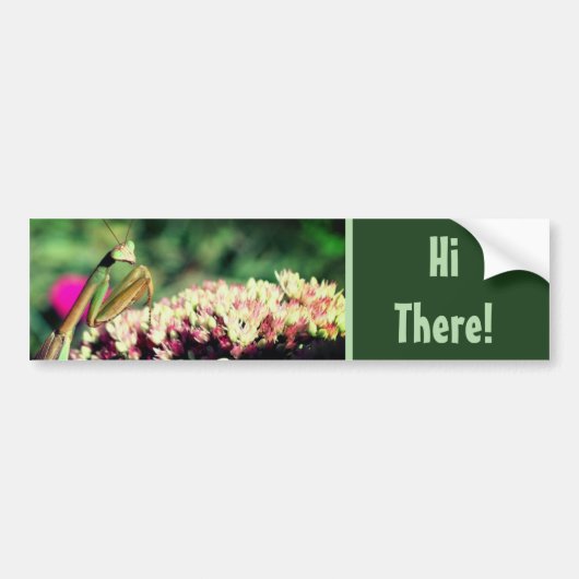 Praying Mantis Hi There Cute Bumpersticker (Voorkant)