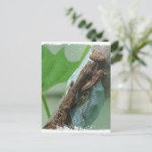 Praying Mantis Insect Briefkaart (Staand voorkant)