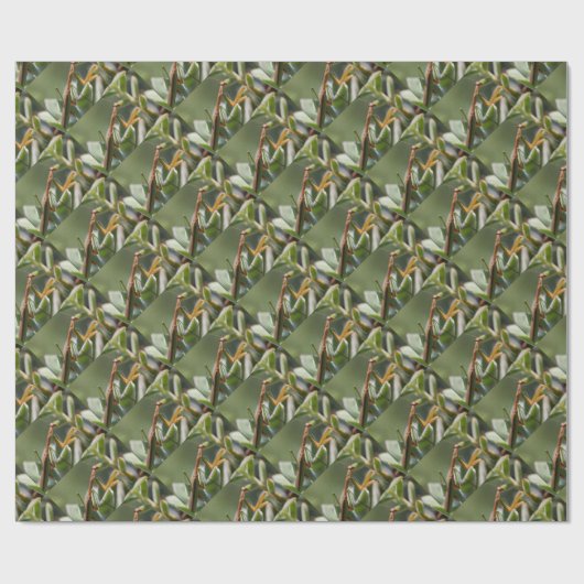 Praying Mantis Insect Cadeaupapier (Vlak)