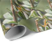 Praying Mantis Insect Cadeaupapier (Rol Hoek)