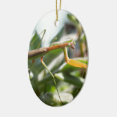Praying Mantis Insect Keramisch Ornament (Links)