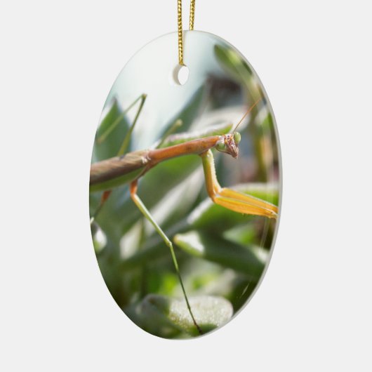 Praying Mantis Insect Keramisch Ornament (Links)