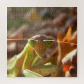 Praying Mantis Insect Macro Natuur Foto Legpuzzel (Verticaal)
