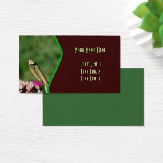 Praying Mantis Insect Natuur Visitekaartjes (Bureau)