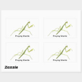 Praying Mantis Insect Painting Stickers (Vel)