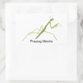 Praying Mantis Insect Painting Stickers (Tas)