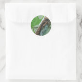 Praying Mantis Insect Ronde Sticker (Tas)