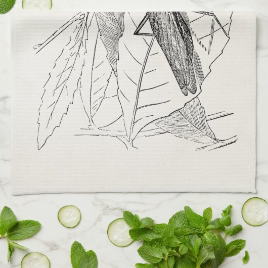  Praying Mantis Insect Sjabloon Theedoek (Gevouwen)