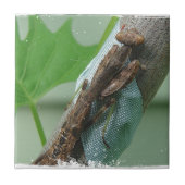 Praying Mantis Insect Tegeltje (Voorkant)