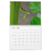 Praying Mantis Insects Calendar Kalender (Mar 2026)