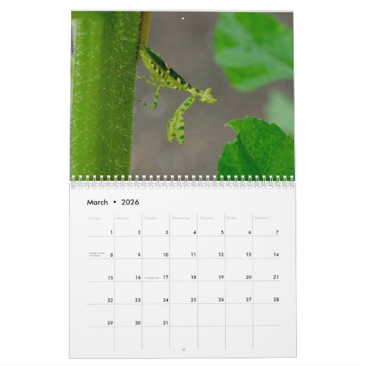 Praying Mantis Insects Calendar Kalender (Mar 2026)