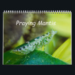 Praying Mantis Insects Calendar Kalender<br><div class="desc">Praying Mantis insects on sunflower plants</div>
