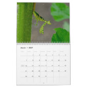 Praying Mantis Insects Calendar Kalender (Mar 2027)