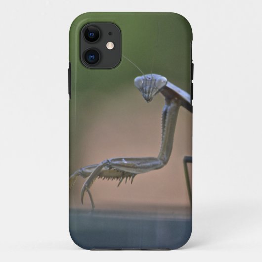 Praying Mantis Iphone 5 Hoesje (Achterkant)