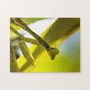 Praying Mantis Jigzaag Puzzle Legpuzzel