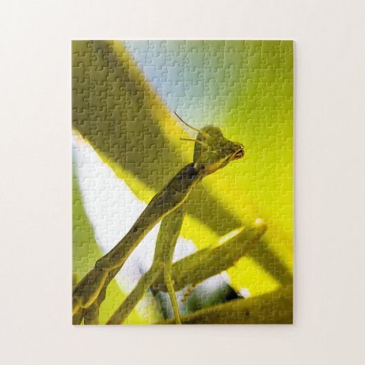 Praying Mantis Jigzaag Puzzle Legpuzzel (Verticaal)